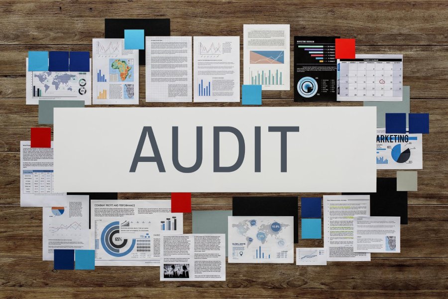 Brand & Market Audits